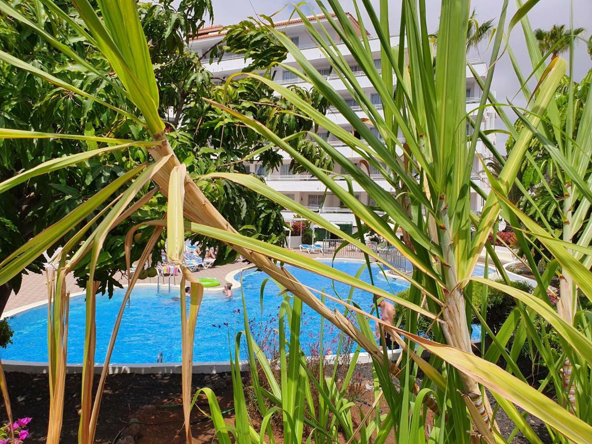 Spectacular Renovated Apartment, 5 Min To Camison Beach, With Aircon Arona  Zewnętrze zdjęcie