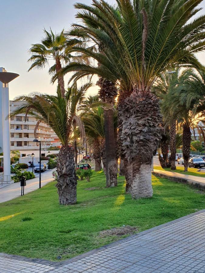 Spectacular Renovated Apartment, 5 Min To Camison Beach, With Aircon Arona  Zewnętrze zdjęcie